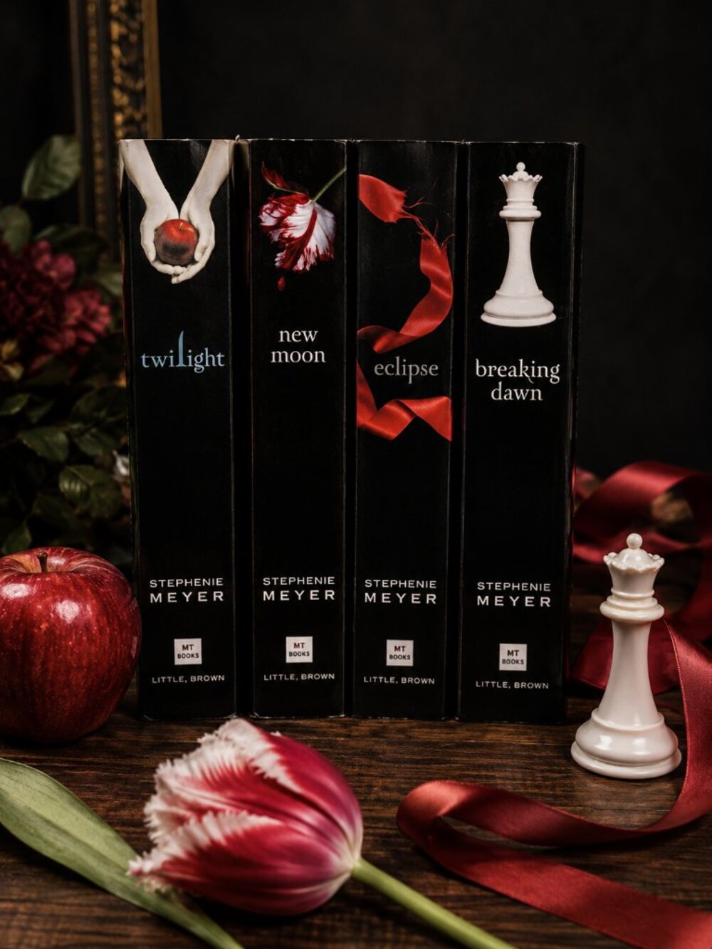 Twilight Saga Complete Paperback Book Set Lot of 4 Stephenie Meyer Matching